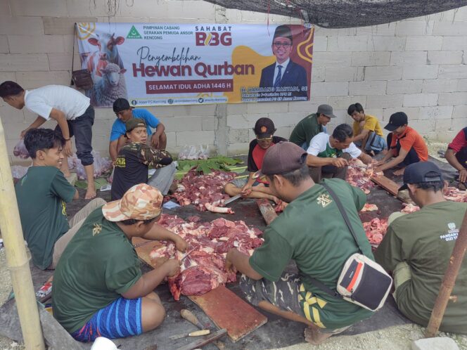 
					Ratusan Bungkus Daging Qurban dibagikan oleh PC GP Ansor Kencong pada Hari Raya Idul Adha